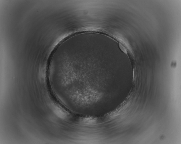 X0000101140156200807110950