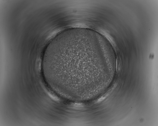 X0000101140157200807110950