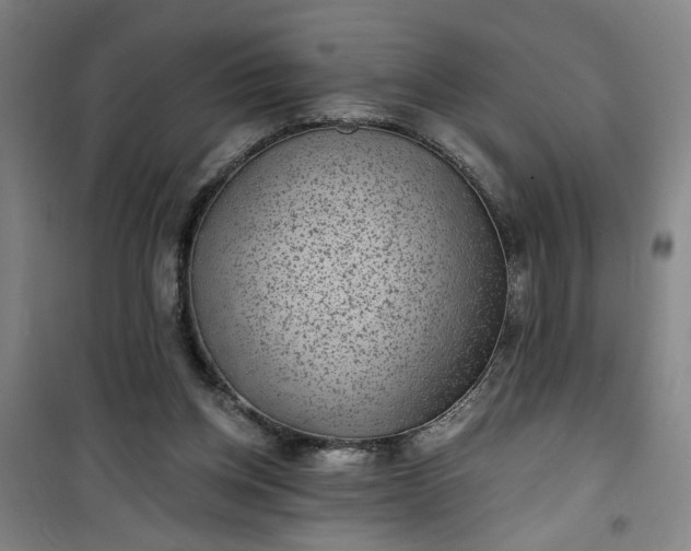 X0000101140158200807110950