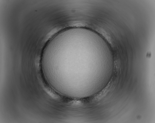 X0000101140159200807110950