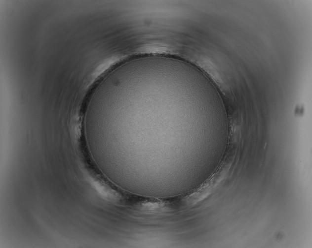 X0000101140160200807110950