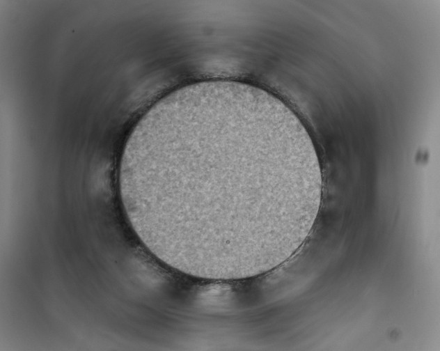 X0000101140162200807110951