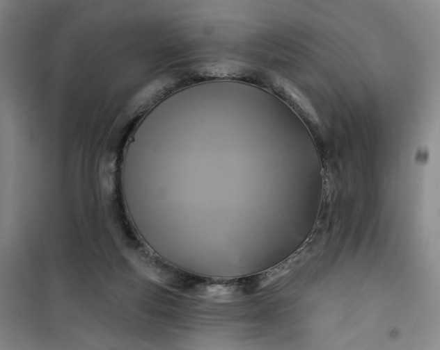 X0000101140163200807110951