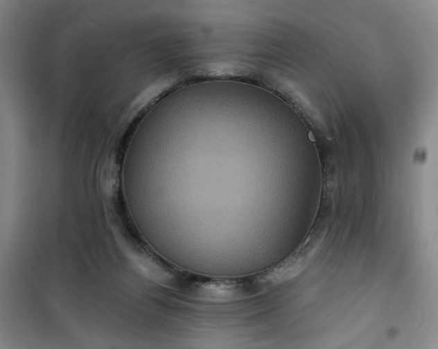 X0000101140164200807110951