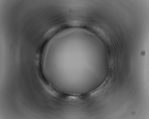 X0000101140167200807110951