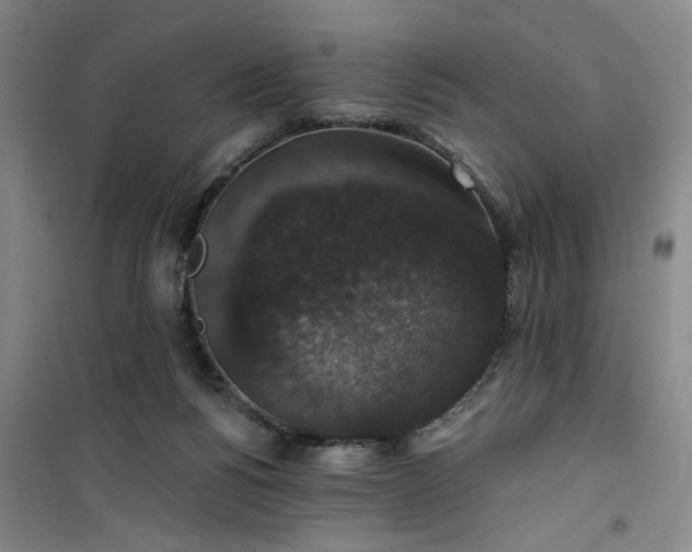 X0000101140168200807110951