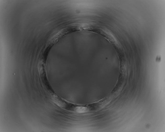 X0000101140169200807110951