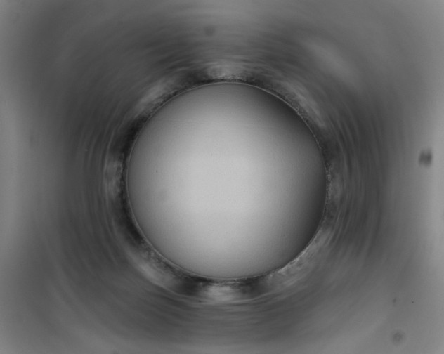 X0000101140171200807110951