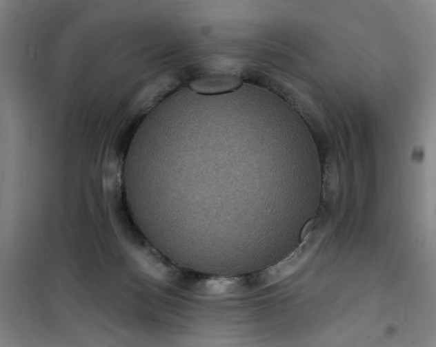 X0000101140172200807110951