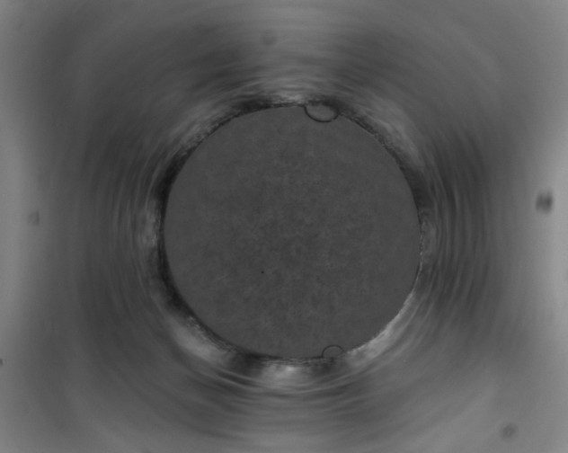 X0000101140174200807110951