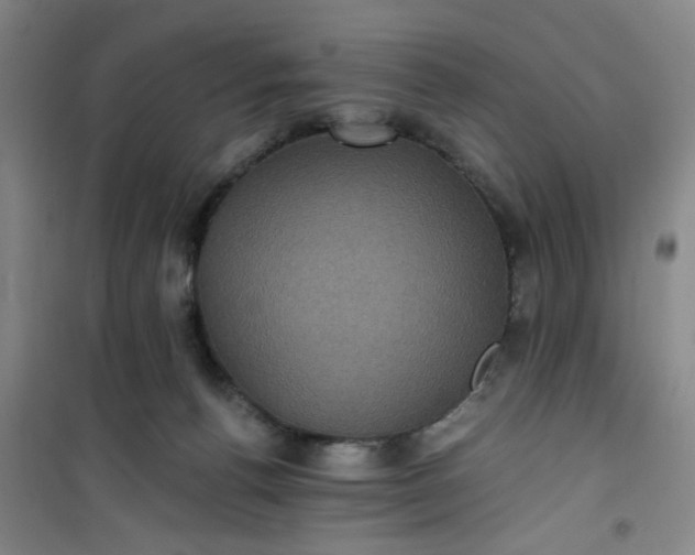 X0000101140176200807110951