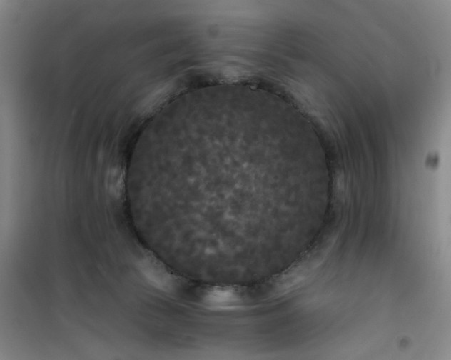 X0000101140177200807110951