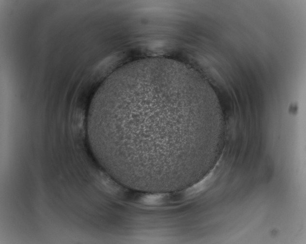 X0000101140178200807110951