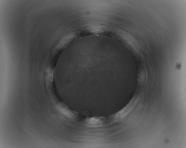 X0000101140180200807110951