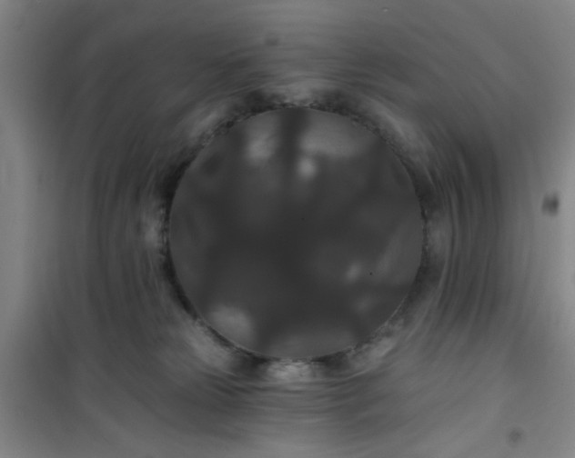 X0000101140181200807110951