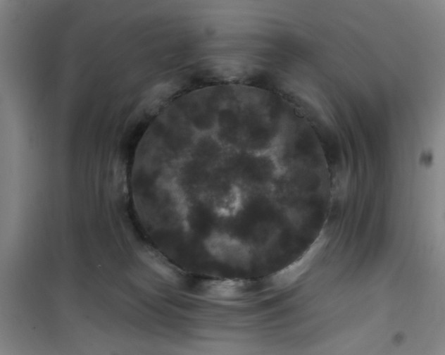 X0000101140182200807110951