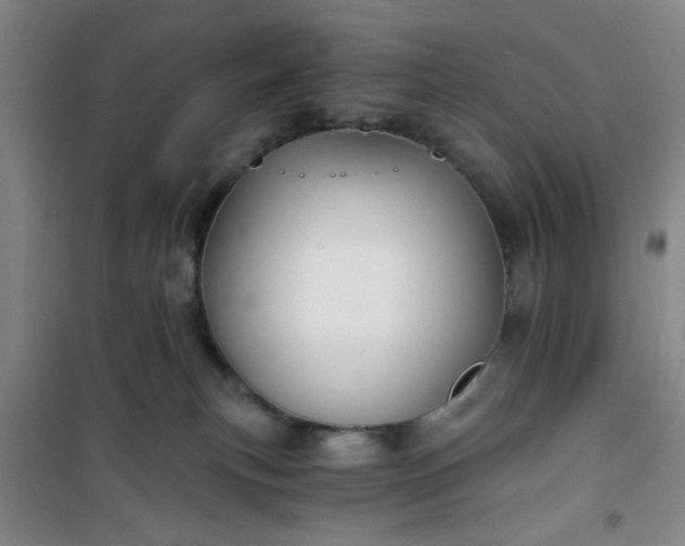 X0000101140183200807110951