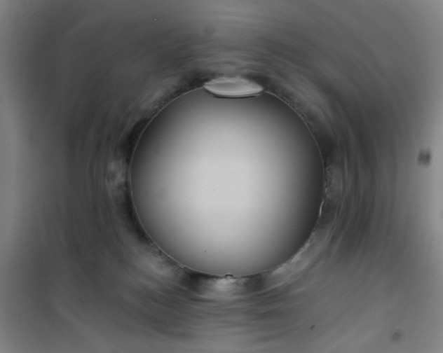 X0000101140184200807110951