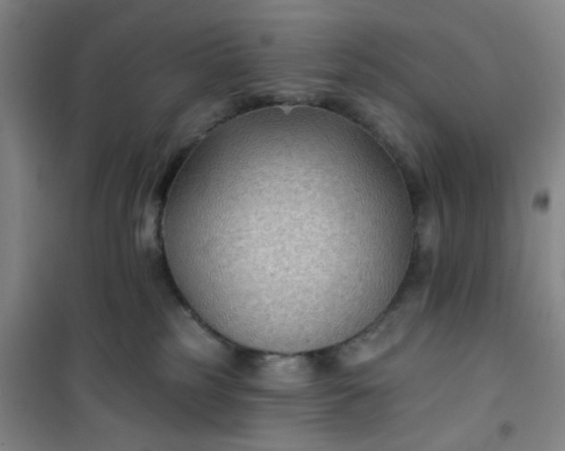 X0000101140185200807110951