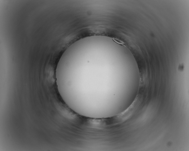 X0000101140187200807110951