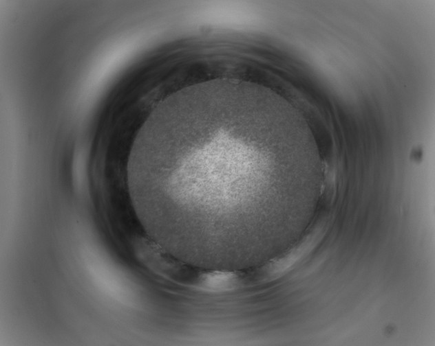 X0000101140189200807110951