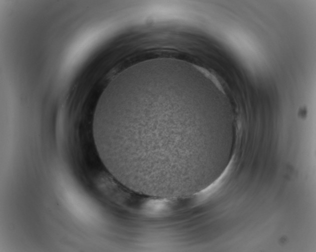 X0000101140190200807110951