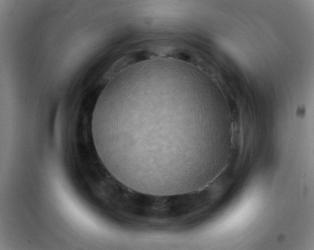 X0000101140191200807110951