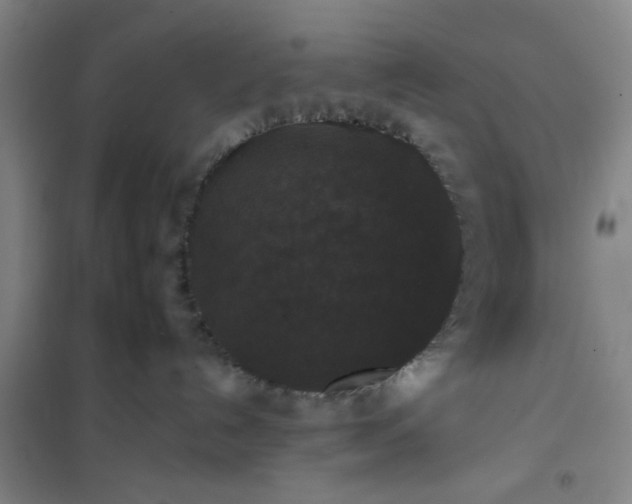 X0000101140192200807110951