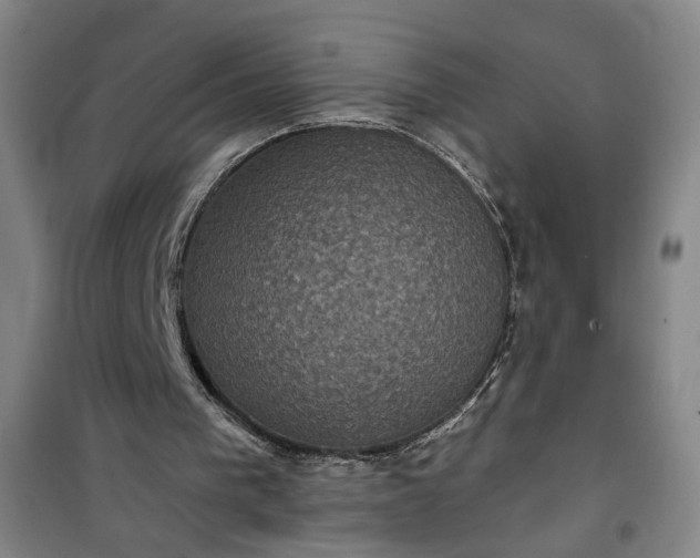 X0000101140193200807110950