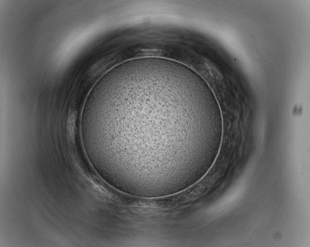 X0000101140194200807110950