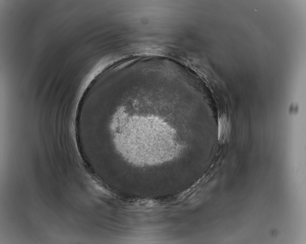 X0000101140195200807110950