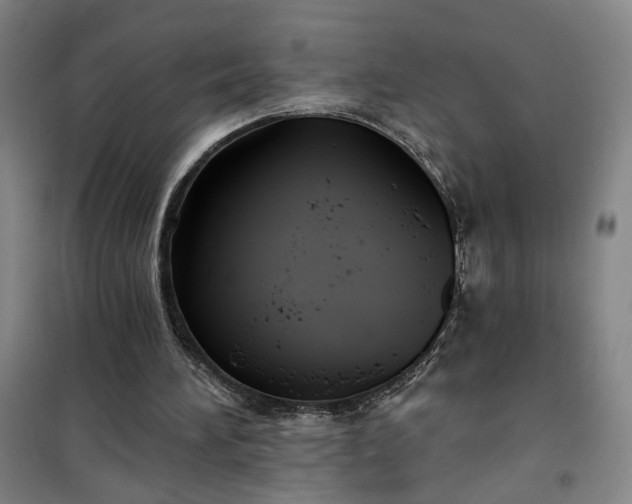 X0000101140196200807110950