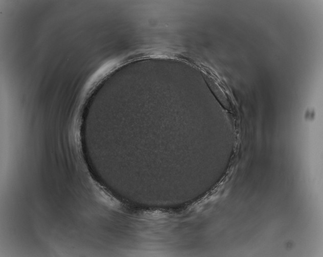 X0000101140197200807110950