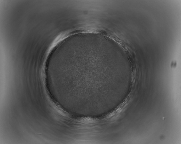 X0000101140198200807110950