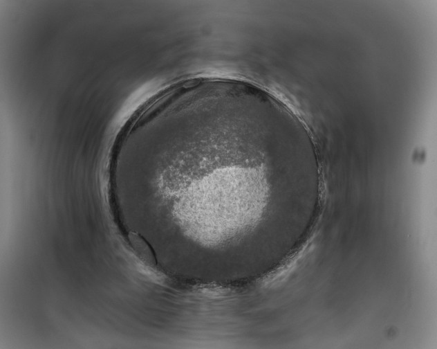 X0000101140199200807110950