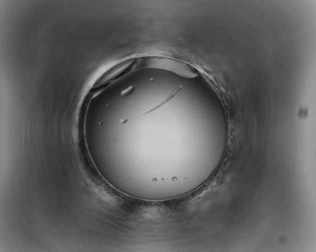 X0000101140200200807110950