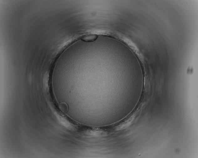 X0000101140201200807110950