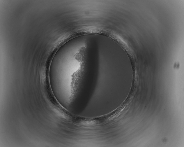 X0000101140202200807110950