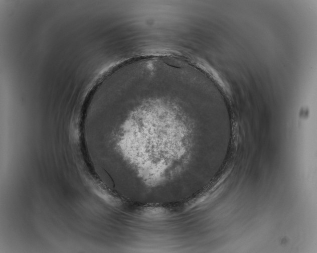 X0000101140203200807110950