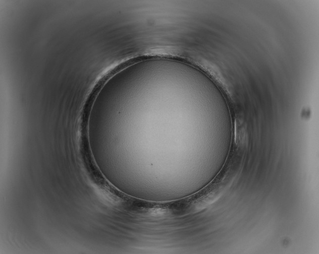 X0000101140204200807110950