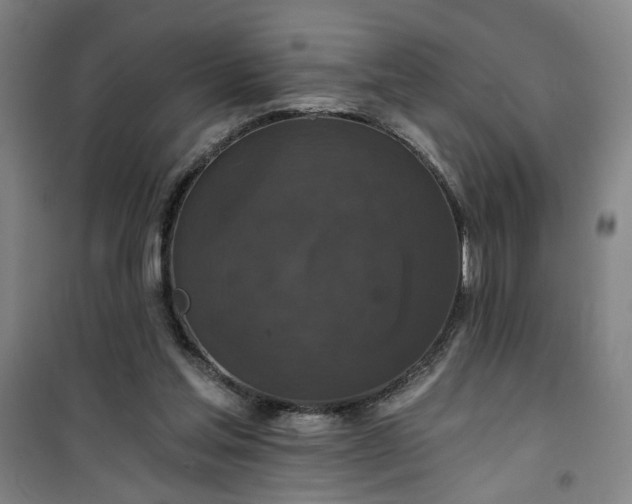 X0000101140205200807110950