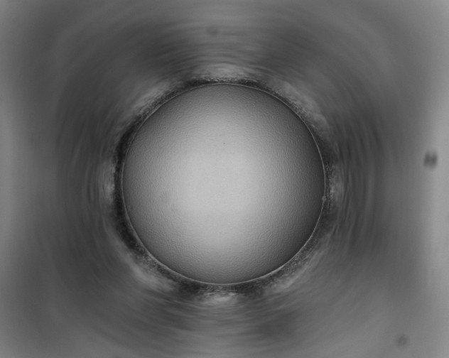 X0000101140206200807110950