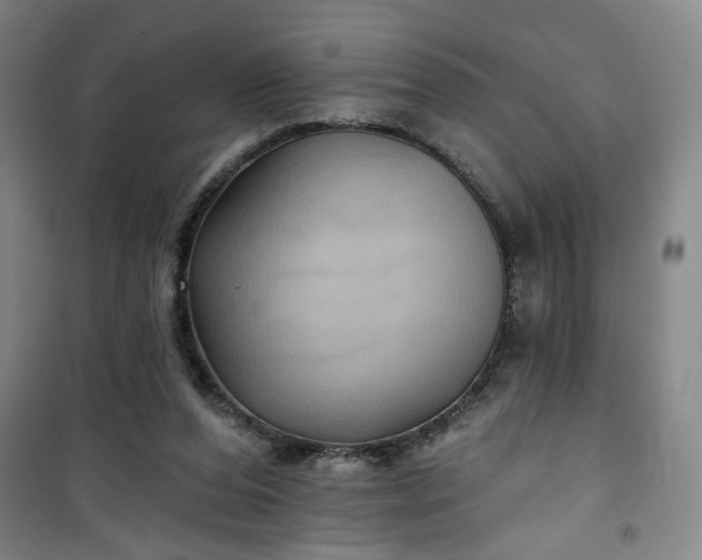 X0000101140208200807110950