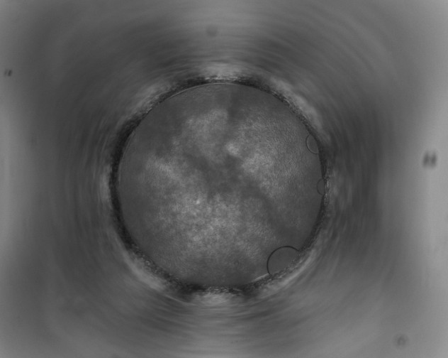 X0000101140209200807110950