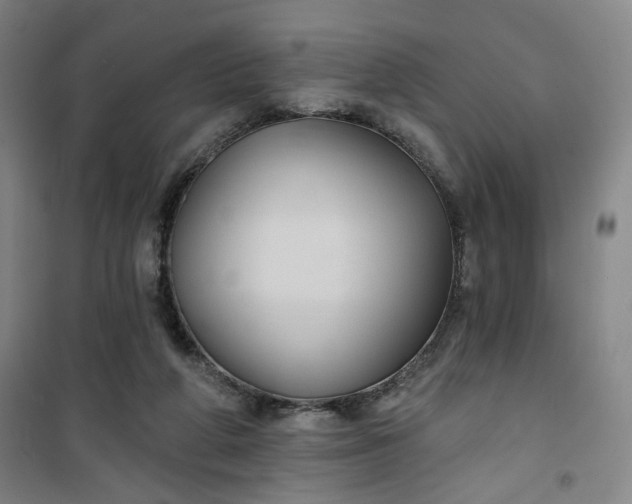 X0000101140210200807110950