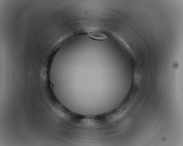 X0000101140211200807110950