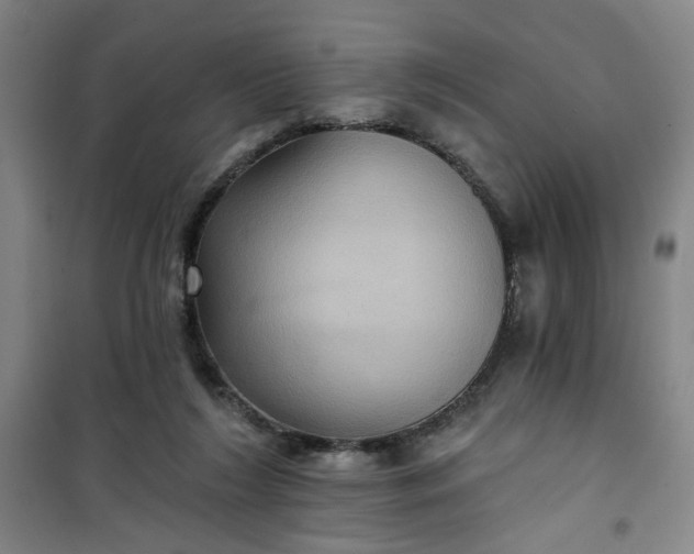 X0000101140212200807110950