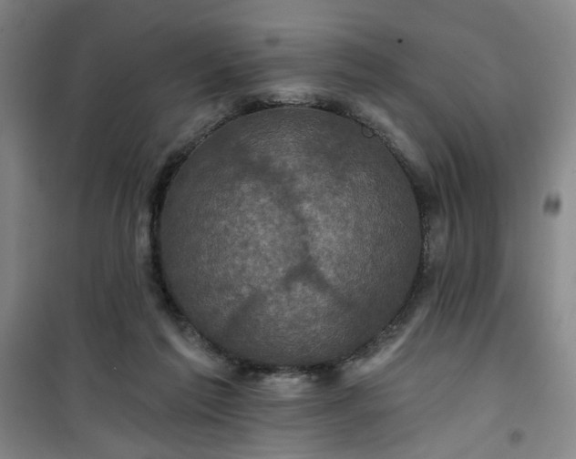 X0000101140213200807110950