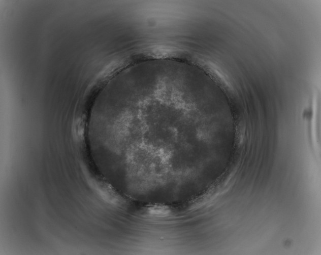 X0000101140214200807110950