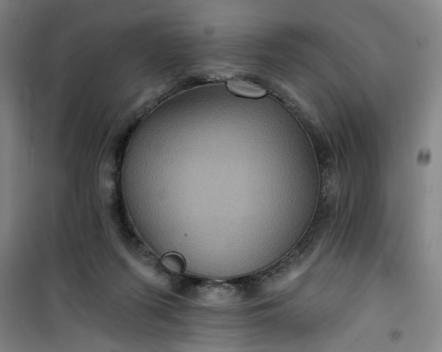 X0000101140215200807110950